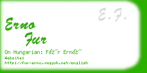 erno fur business card